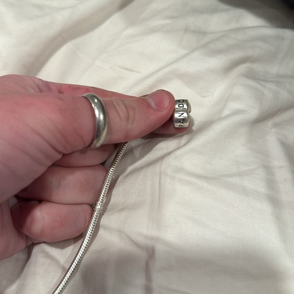 Pandora Bracelets with Charms - Picture 3 of 17